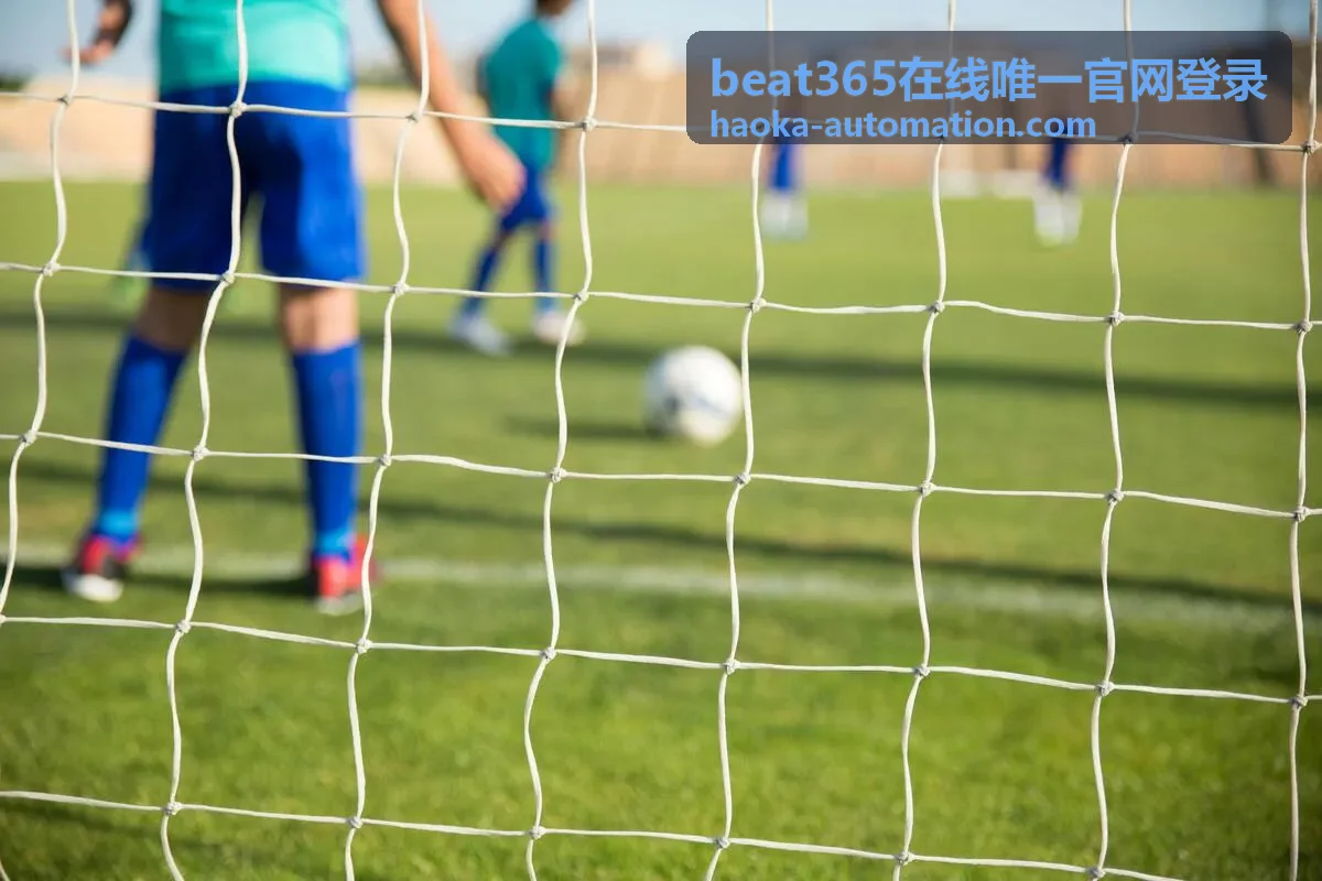 beat365在线唯一官网登录平台服务 - API开放对接